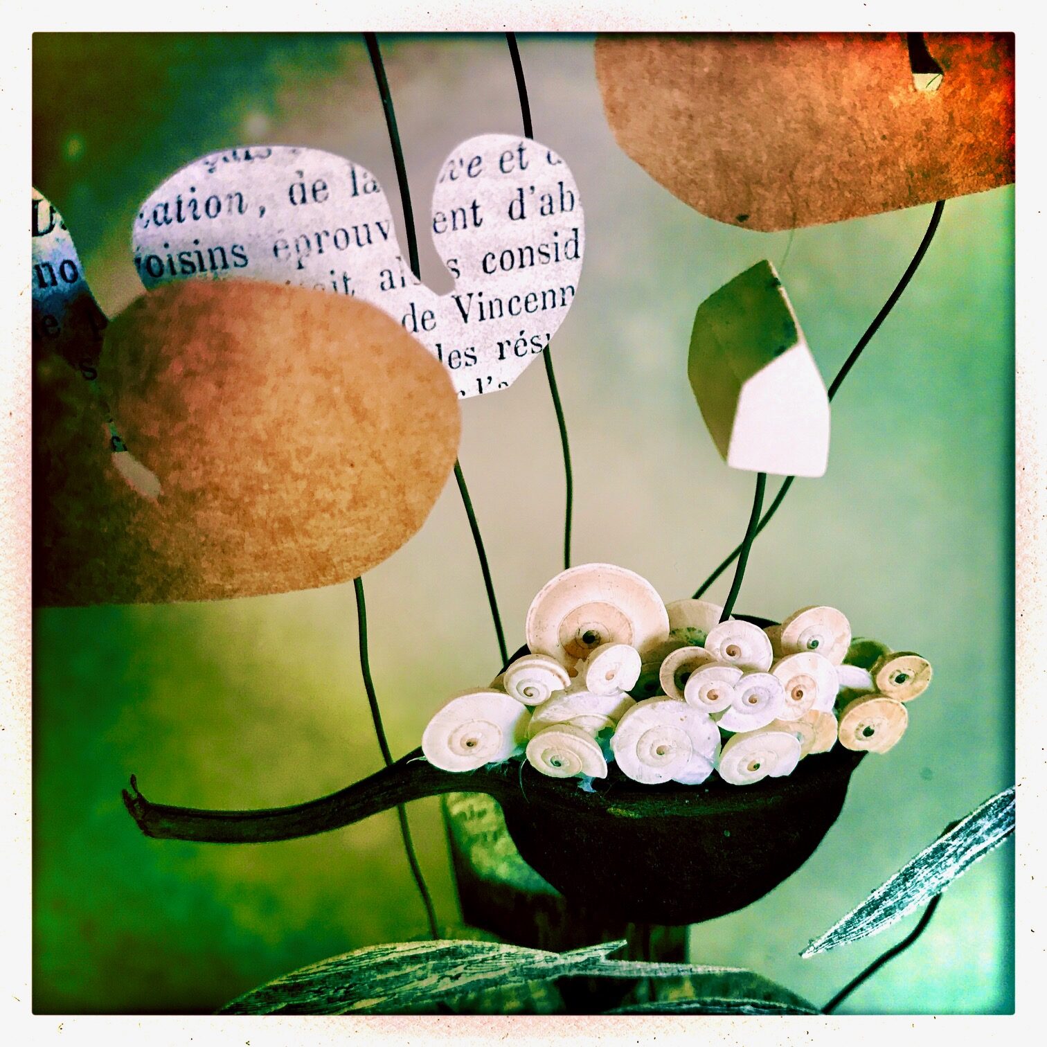HipstamaticPhoto-596634488.510689.jpg